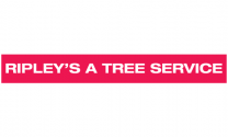 A Ripley's Tree Service